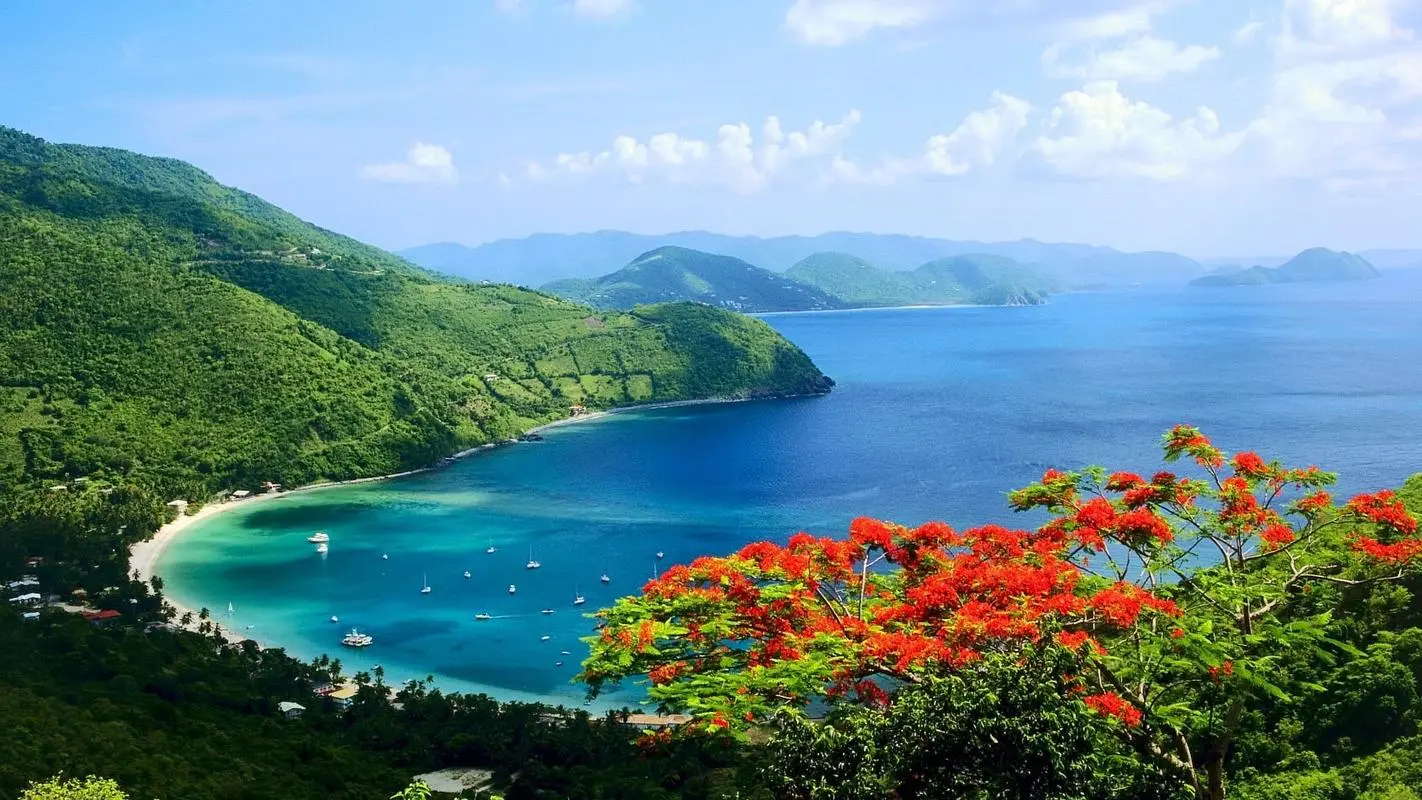 节能独特绿色